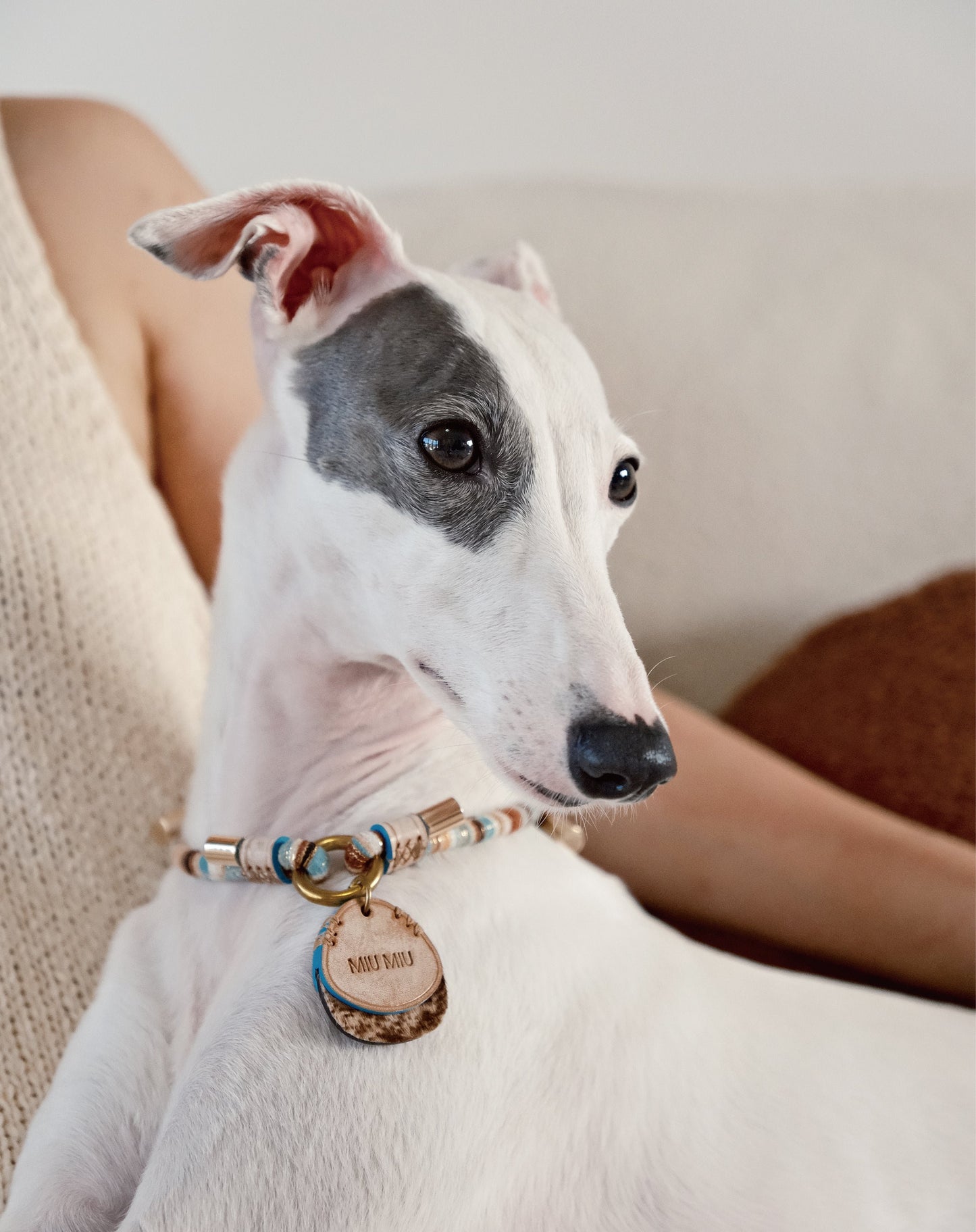 Customized Eggie Pet Name tags for Fluffy - dog art pet id tag pet tags