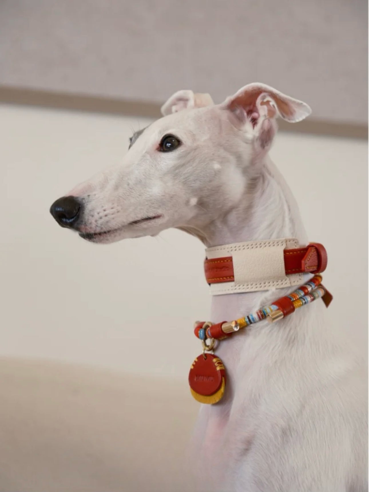 Luxury handmade customized dog collar in hermes leather, featuring a designer style for small to large dogs, paired with new year red style.