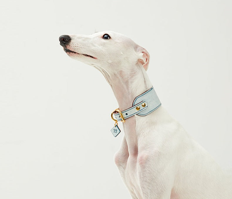 Handmade Wide Matte Wax-Textured top grain Leather Collar and leash- Alpha Fluffy