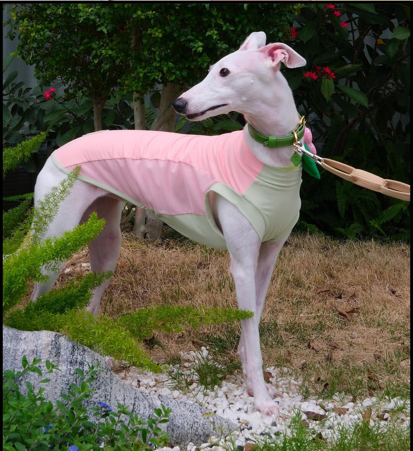 One Half Studio — Guava Pink