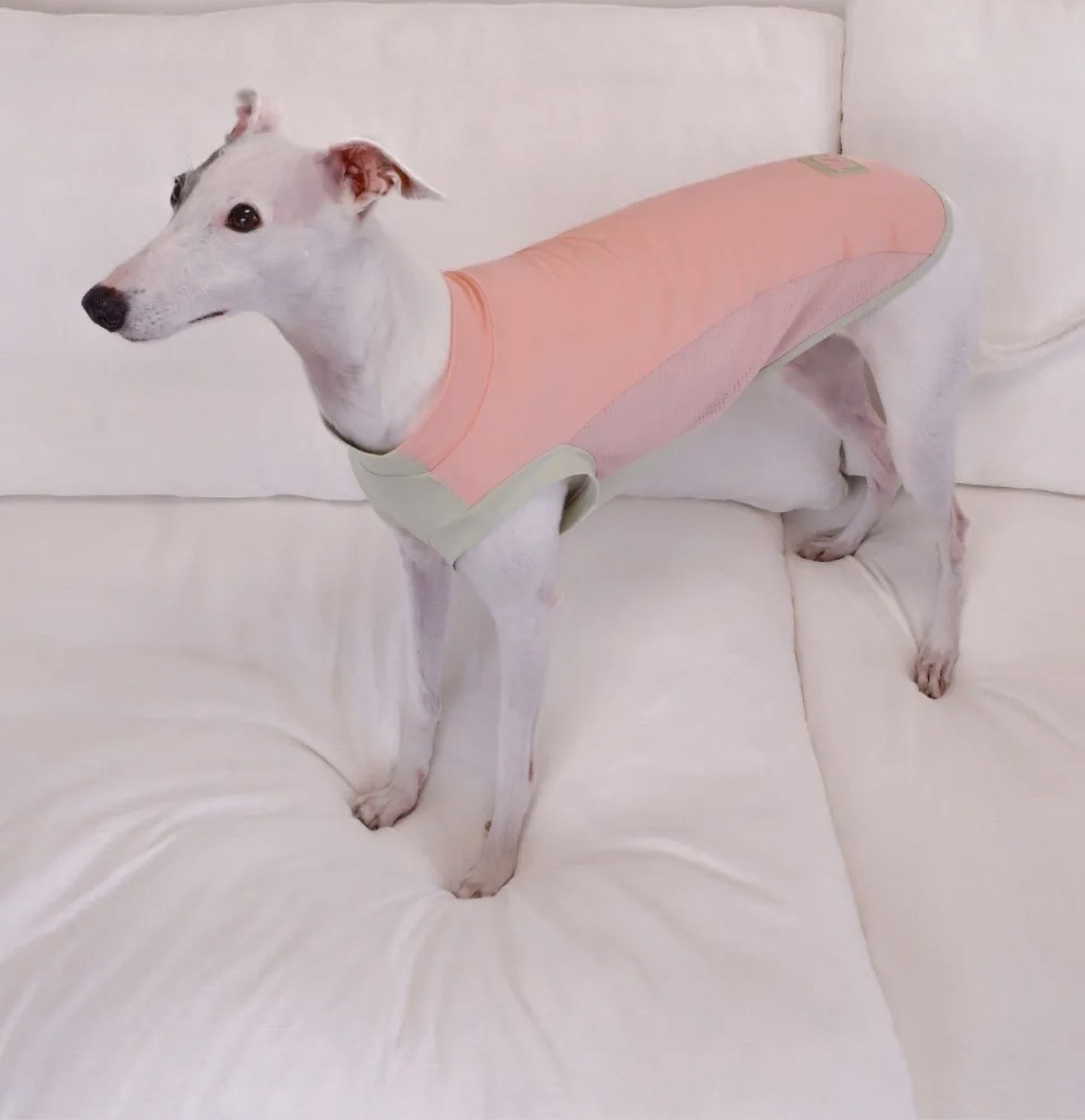 One Half Studio — Guava Pink