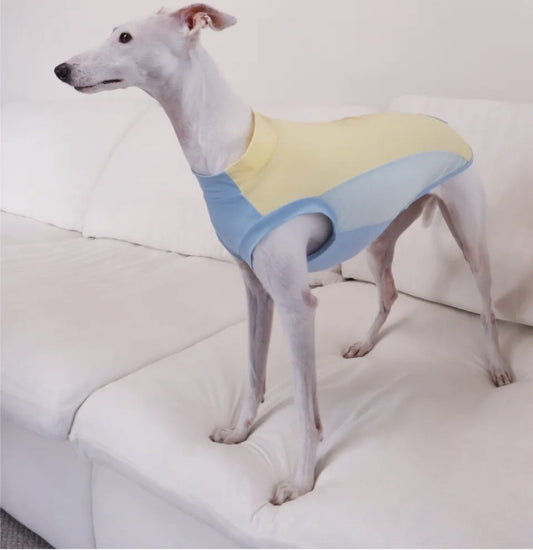 AlphaFluffy Sighthound Cooling Vest — Lemon Air Blue - AlphaFluffy